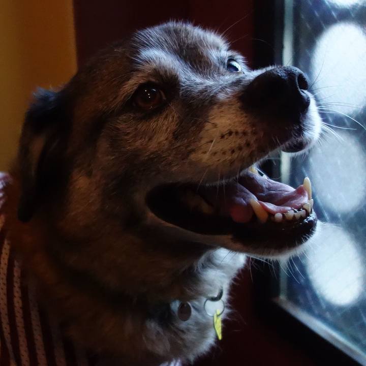 037902fb 6c4b 4646 bdf9 fcf59f66449b 1567853686508