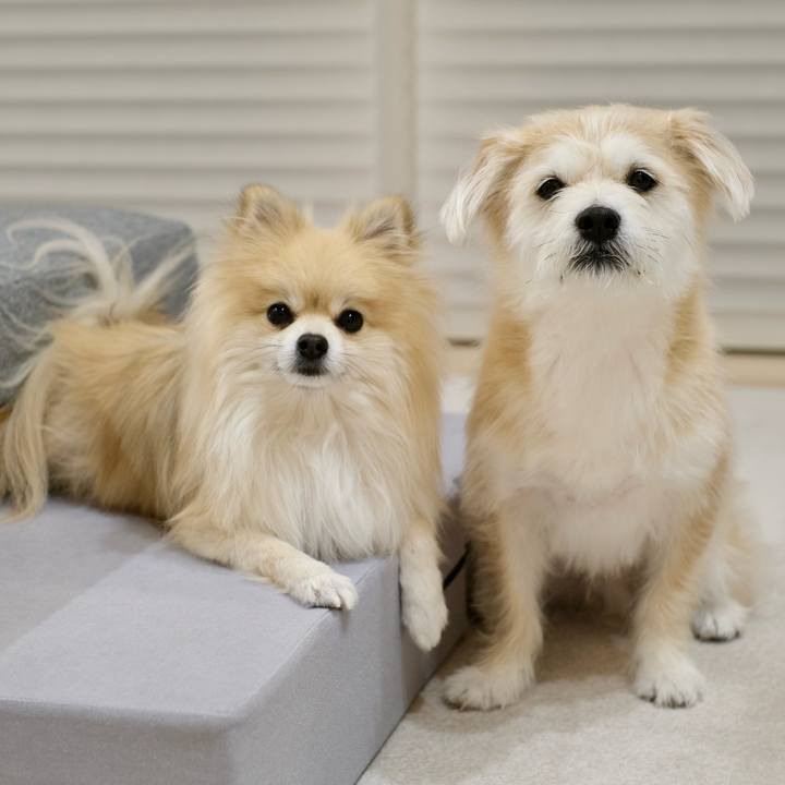 03791662 a340 4a0a bbb1 26ae34ea0b27 1768861412609