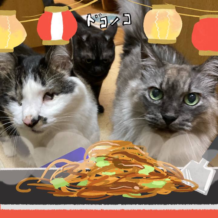 03794be3 d024 4c03 b3c5 661e4ea4c46b 1755298863918