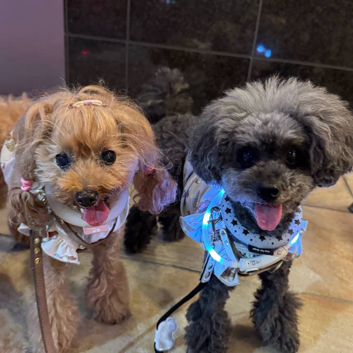 0379b25e 08c2 4d3a 8d06 389e4c19741d 1758063684990