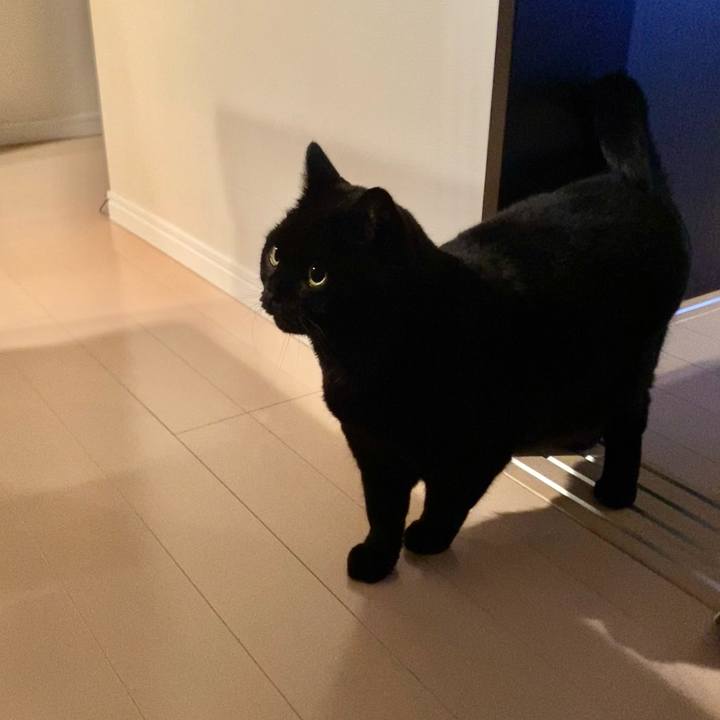 0379d9fa 48c7 4ddb 8950 d5723c14206f 1769602035181