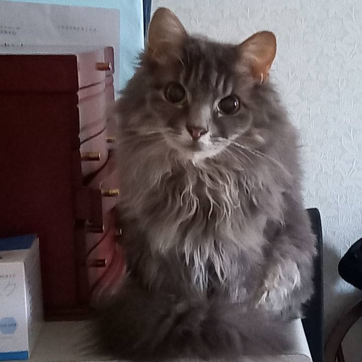 0379e291 5df7 4026 99a2 4b08fce96001 1601676180477