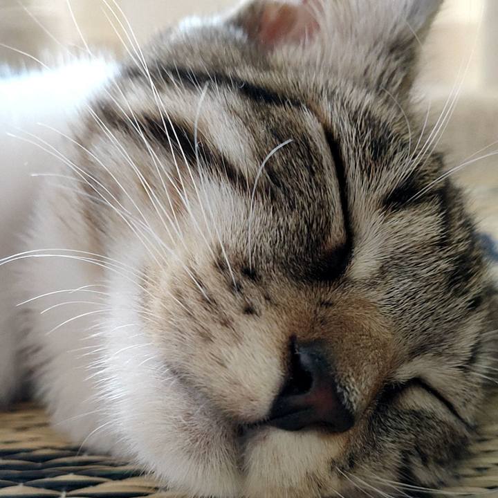 0379fdd4 ce5d 46ef 9cad 4b2ff9467980 1629678465530