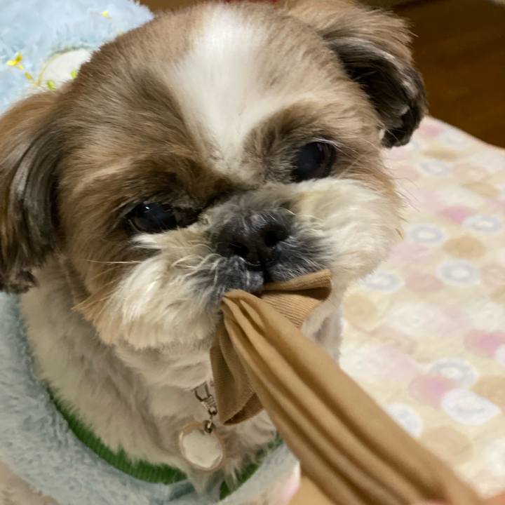 037a3095 d2f8 4fa7 b9d1 77d93049dacc 1643794370033