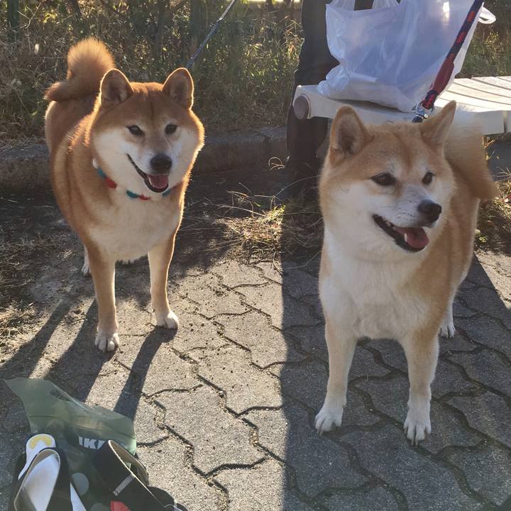 037a32af 3b57 4221 ac30 f6e5bef6080b 1575795645818