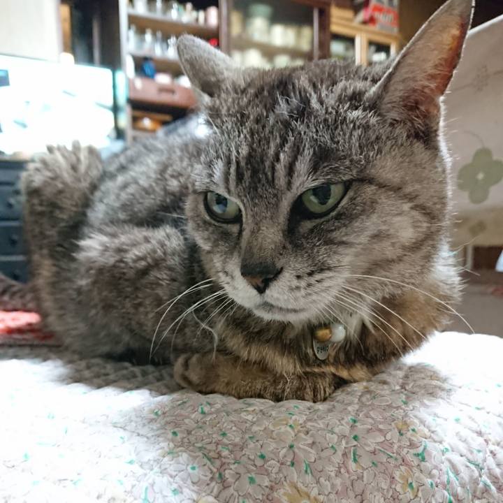 037a660d ec2c 460d 9c84 6429ec533b9a 1563359990103