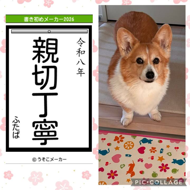 037a67d7 b161 40d7 8dd4 32c5d9ce324f 1767478761440