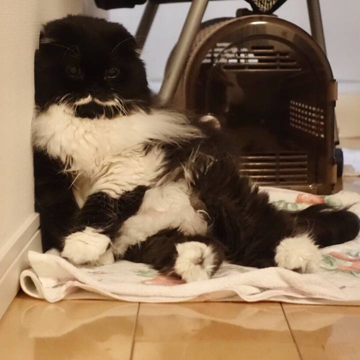 037a7973 b92f 4c3f b740 a18719622f41 1531067645112