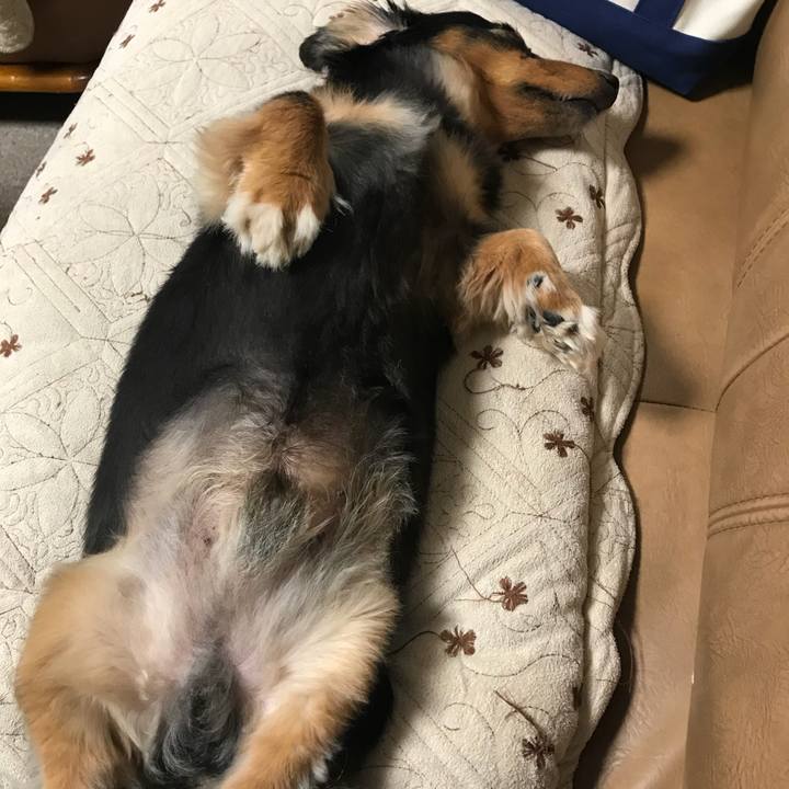 037a9011 b7e8 4a90 b997 08bcc317b773 1536440670578