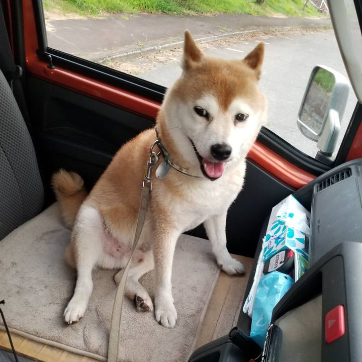 037aa89a 7e99 417a a25f b599bfd7db45 1627119778994