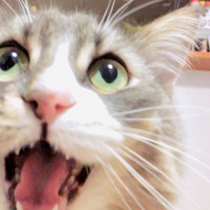 037ab75c b8fc 4ce6 84d5 0224e9d7f780 1564565387048