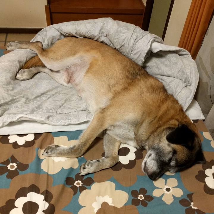 037ac7ac 113d 407c b0ab c96bfd9997a2 1694129999445