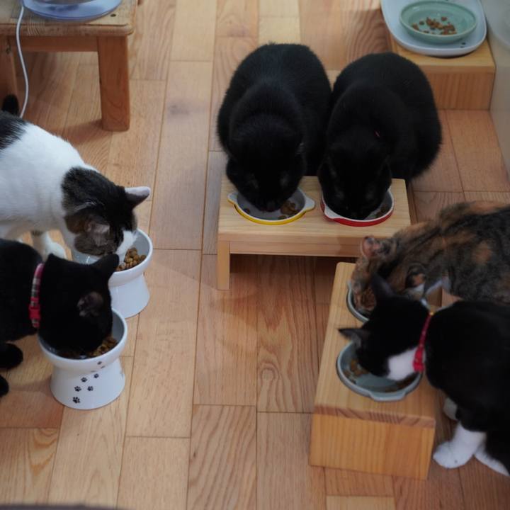 037acb04 a432 4e8b 9d45 f96ee7e091de 1632264798715