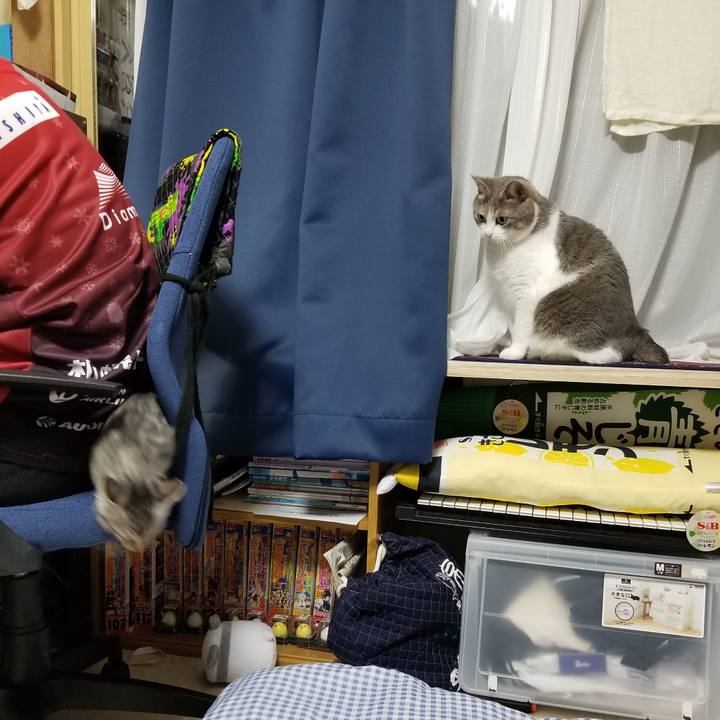 037af854 31f0 475b bd97 766e78dd983a 1663524368283