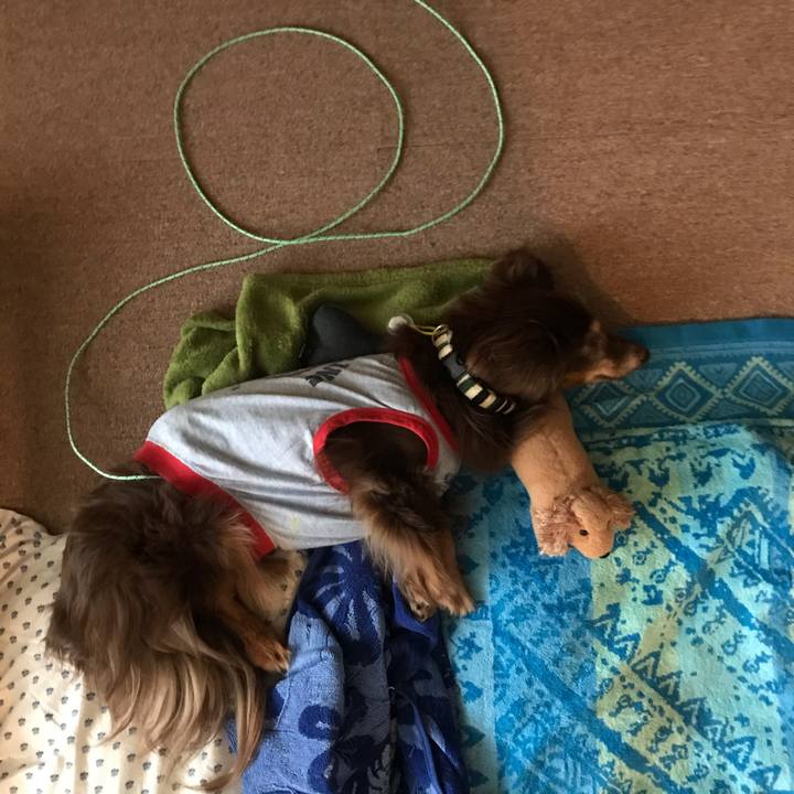 037b254b 33a1 4818 9134 a07bc2f19e12 1595465915325