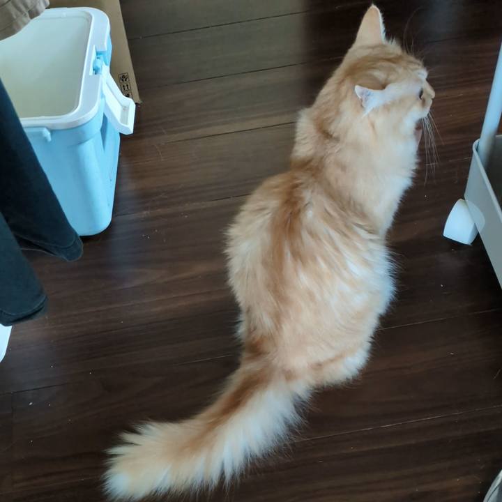 037b363e c349 475c 812a 916621c3a696 1731816004401