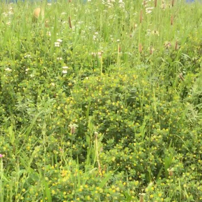 037b4b66 708f 4972 bfb4 aadeca7cbdd5 1588747068241