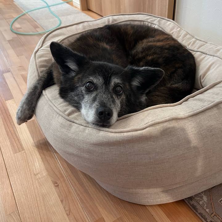 037b4b79 7671 4e73 938b 1ecd7613677c 1760970331848