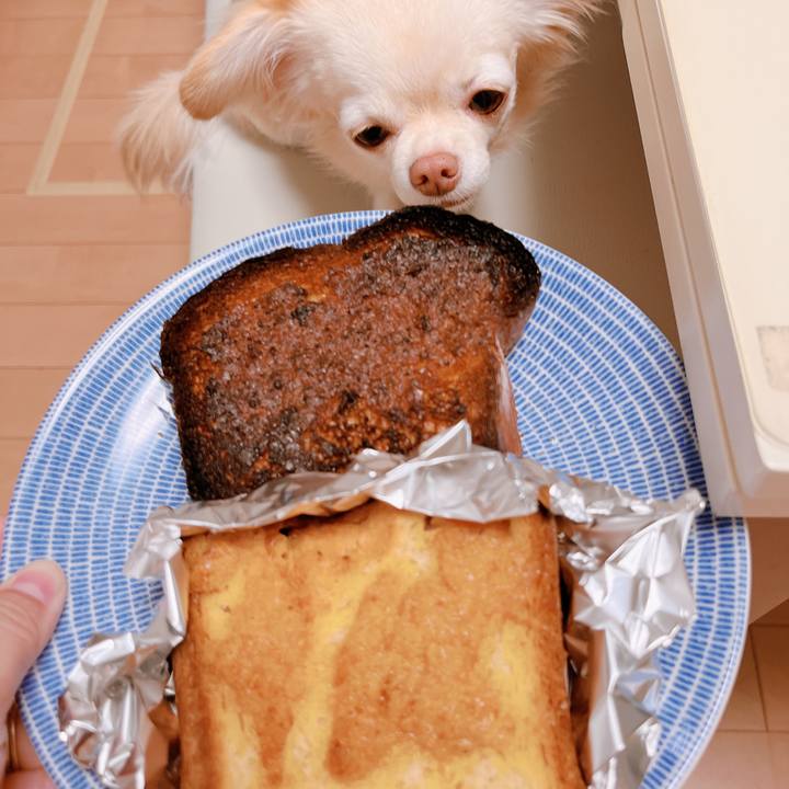 037b5ca8 5e5b 4b25 a255 61c524474660 1668417965848