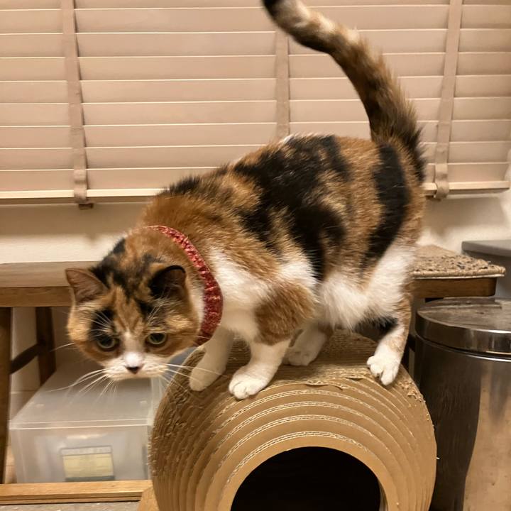 037b8849 2bd8 4139 a3e8 6091f0eb6efb 1764051492050