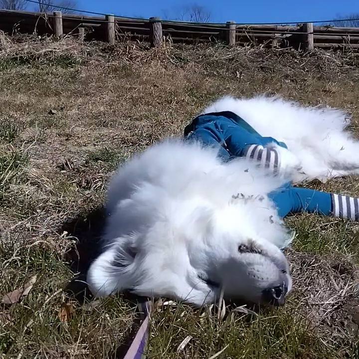 037b9277 5c46 47e6 9825 465ea331f985 1677375161733