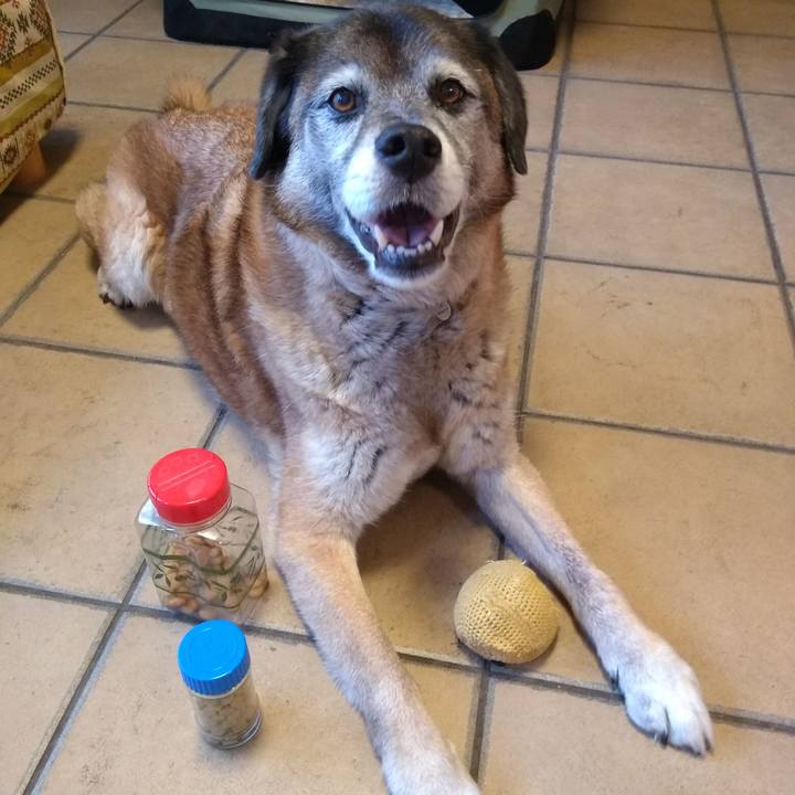 037bdb9d 49dc 49e4 9486 3e5b6a0a0980 1562032680989