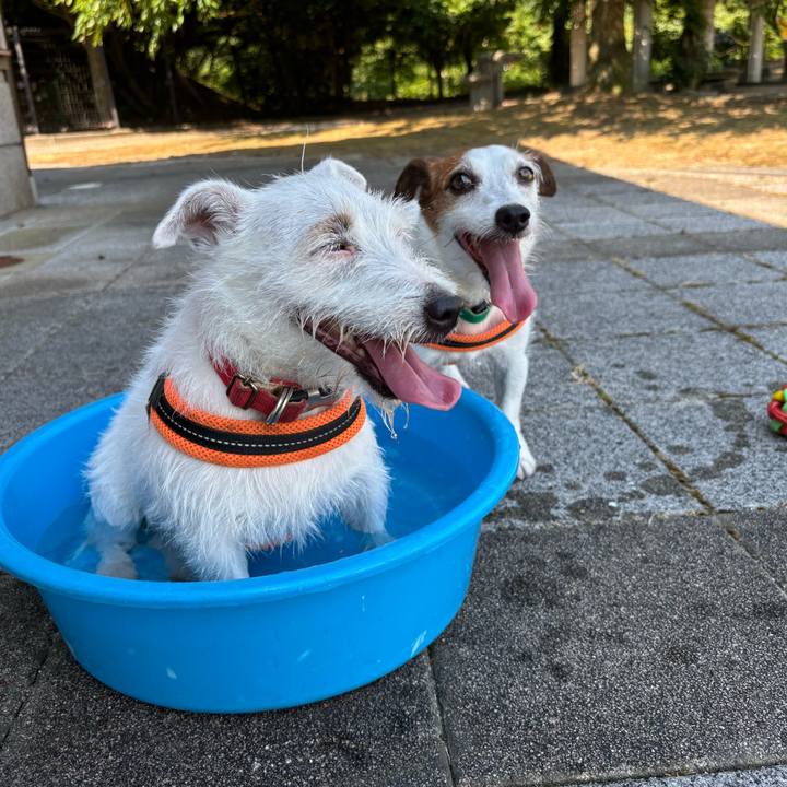 037bdd68 1713 4147 a521 1456b39fe78b 1763107244557