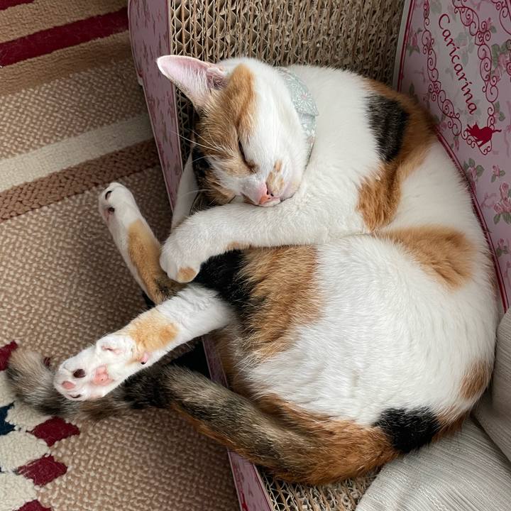 037be3d9 6c42 475b a50d 652081a20ea3 1663025758562