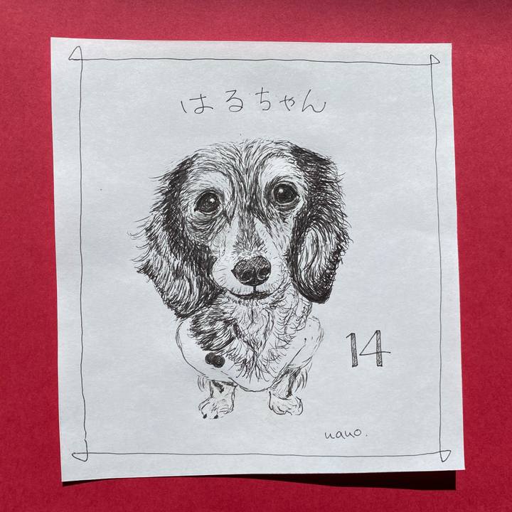 037bfe04 5ced 4f71 b229 b0caaeaa175d 1643692257150