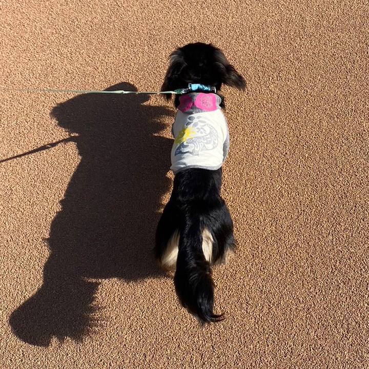 037c1277 7fb1 46e0 9ce2 22ec87ca04b0 1683677170575