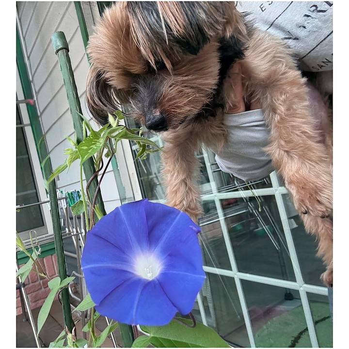 037c1694 745c 4e25 9f07 ccf7b3663818 1754262177689