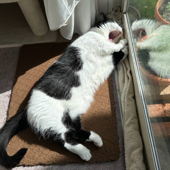 037c3645 c92f 4e39 ba0d 35aff7682ab4 1763505567902