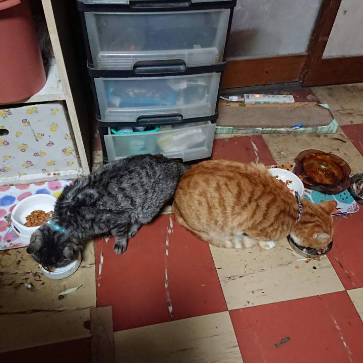 037c61fd 9b8e 451a a714 7f356d24b640 1605556343846