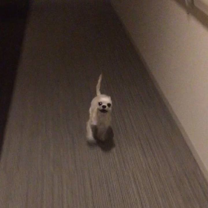 037c8742 847f 49a8 9a3a 476cc6a15a6b 1546860290336