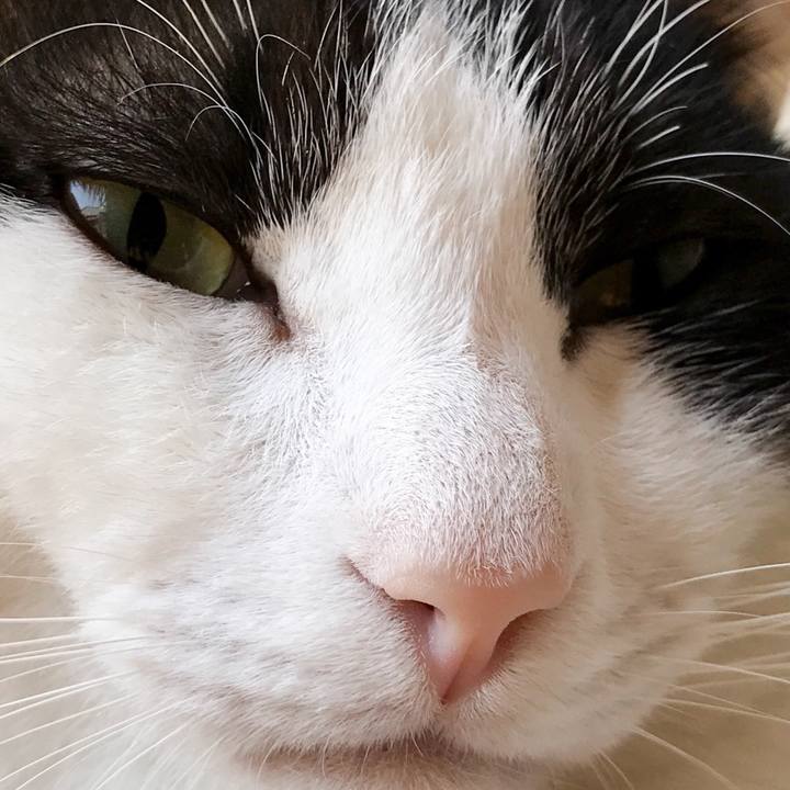 037c98c2 66fc 4b05 a61b 44f57ecce092 1523668491736