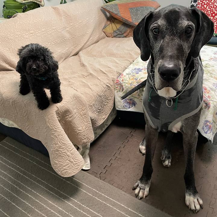 037c9add 2980 404e a8c1 72e01d3bd45b 1633990725093