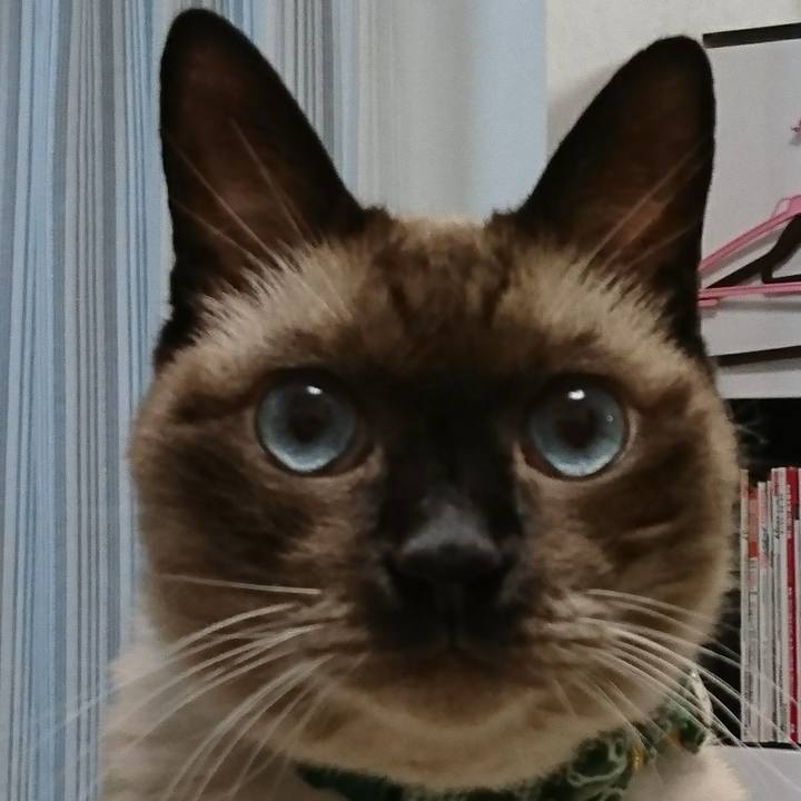 037caa67 a362 4872 967b f8f42c089261 1507802610577