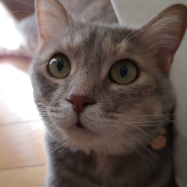 037cab6e 219c 41a1 b6cf 84f60cb8b964 1561634530809