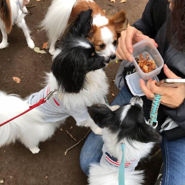 037d1746 2a48 4a16 8977 319fd45687cf 1509177007633