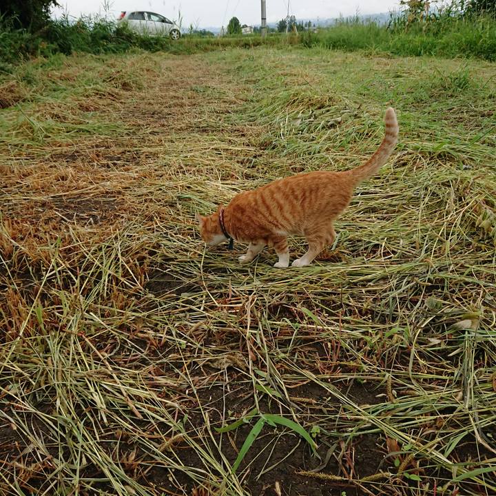 037d3a7c 2a6b 4d89 8c16 9fee08782dff 1565936003788