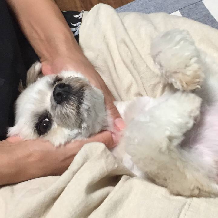 037d4681 834e 4cd0 ad03 28c4d5a81845 1565006022067