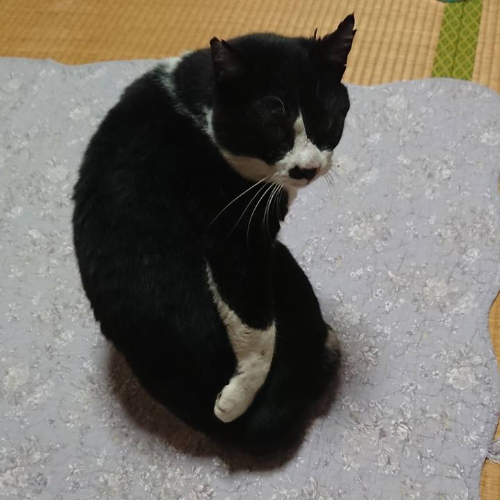 037d5383 65d0 47b0 91ca c8fa6bf92917 1576798025171