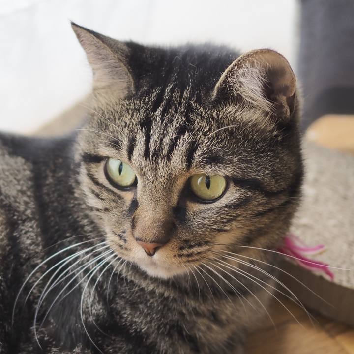 037d5636 22eb 4eed aa91 623bc594715d 1633749792858