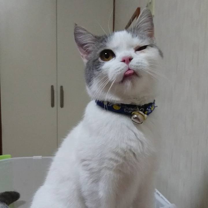 037daf00 9797 4f9b 8185 178ebc1820b8 1629206782501