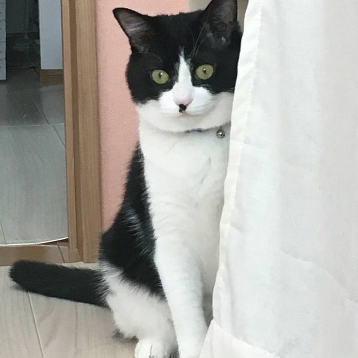 037db984 0032 4852 8f7a ec5c3874b96f 1525922326735