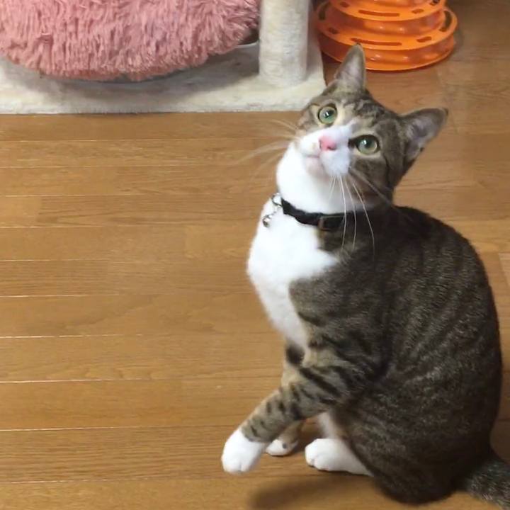 037de4b2 11c5 4c98 a4e1 e92896c15fbc 1675821700847