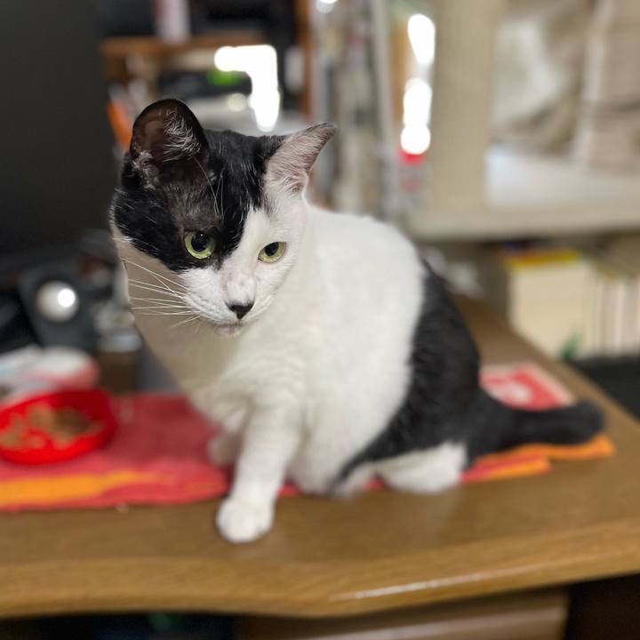 037e3703 1a78 4889 9cd9 129cffa04ae1 1755471177713