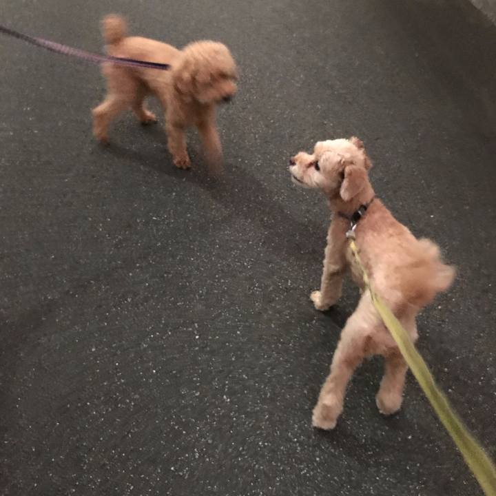 037e41d2 6d65 4746 bcdf 4b193facb1c1 1568021205839