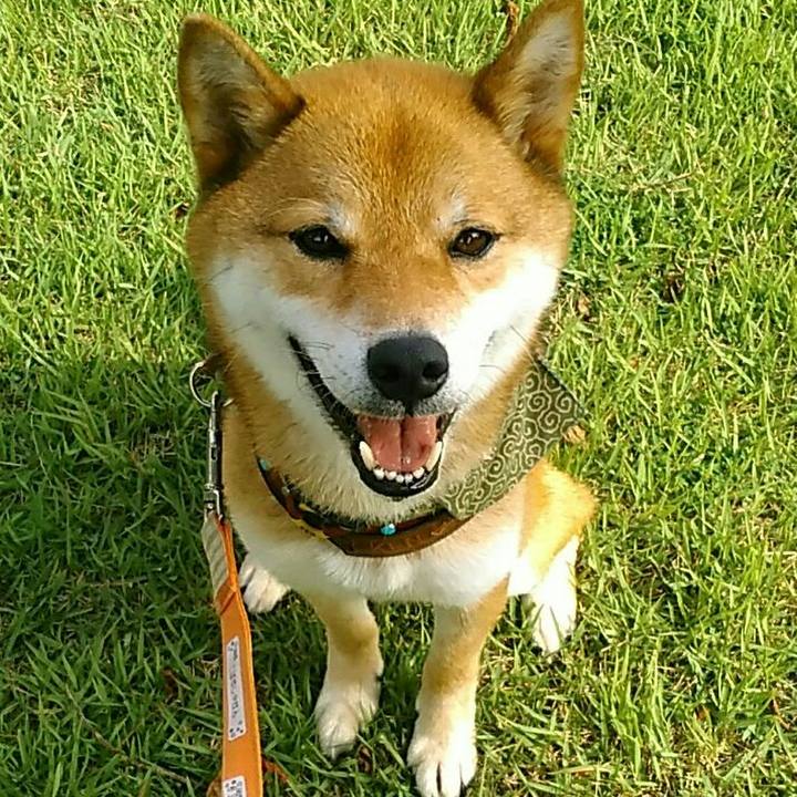 037e5620 f53d 4b9d b809 27cbebaa31ed 1531172186128