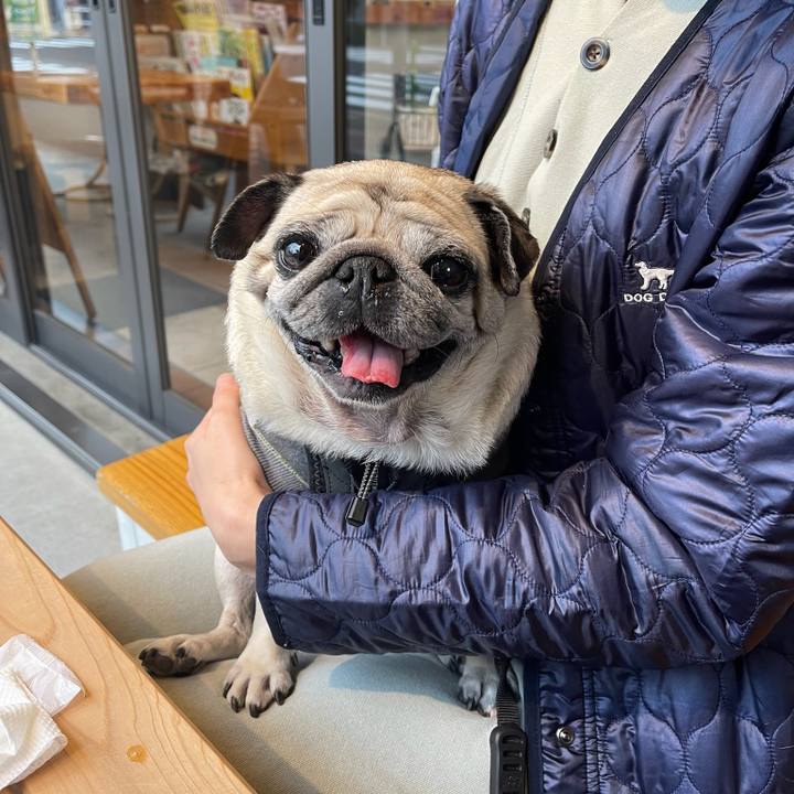 037e81ca eb23 45f6 bd84 690b262f0cf2 1762567571272